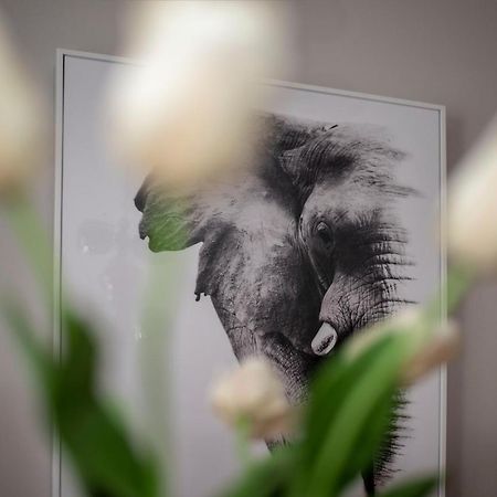 Apartment Aloha 트레빈예 외부 사진
